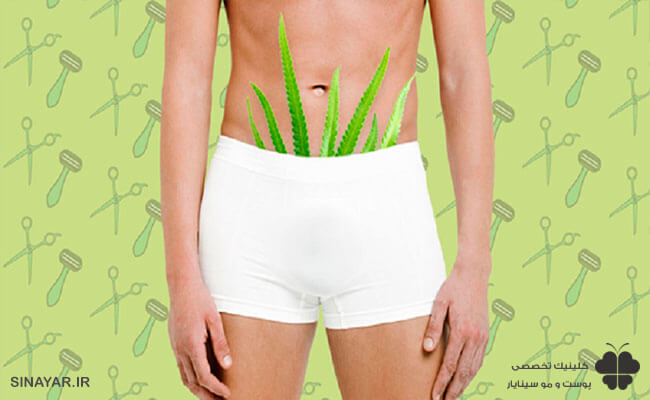 ناحیه مایو آقایان کجاست